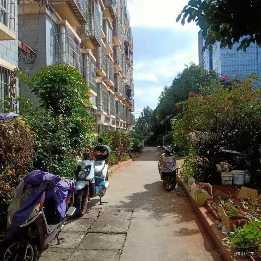 性价比高小区房急售 两证在手 交易方便,机电裕海小区二手房,46万,2室