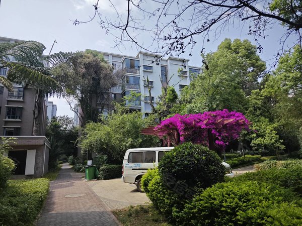 昆明呈贡市政府白龙潭俊园浣园宜和路地铁口精装修169平米含车位含