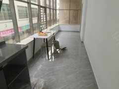 深圳宝安松岗松岗地铁站附近精装电梯一房一厅全景天窗出租房源真实图片
