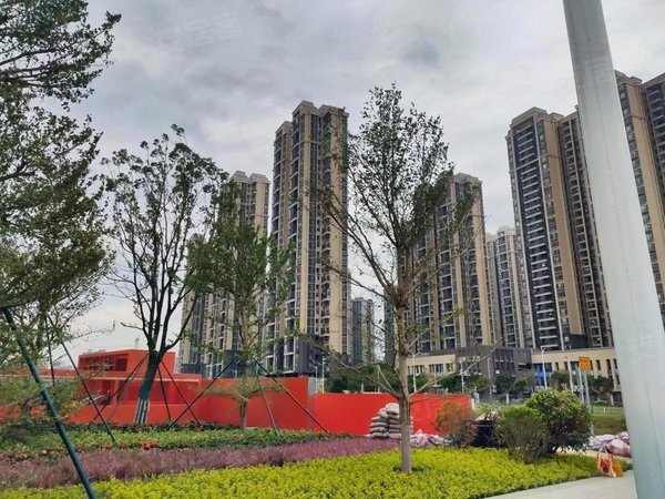 广州黄埔鱼珠富颐华庭富颐华庭 全新未入住 精装三房 停车免 自带洗碗