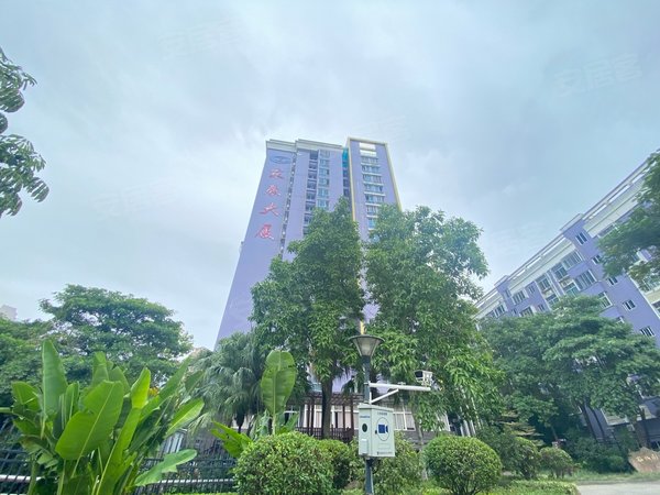 泉州洛江万安街道东辰大厦洛江大润发附近两房  1300块 看房来约 手慢