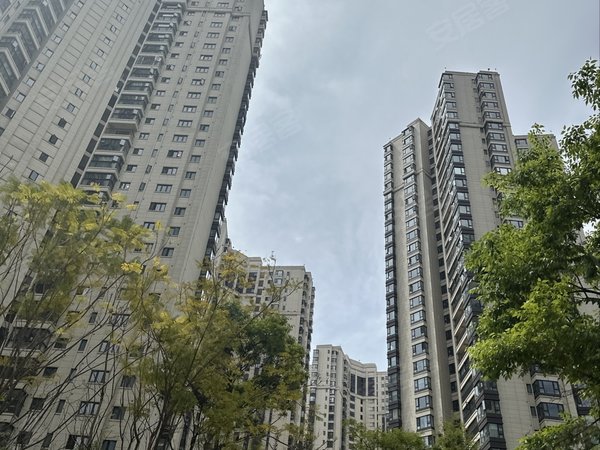 前卫营租房,金地九樾精装修126平米3200元月,西山租房-昆明58安居客