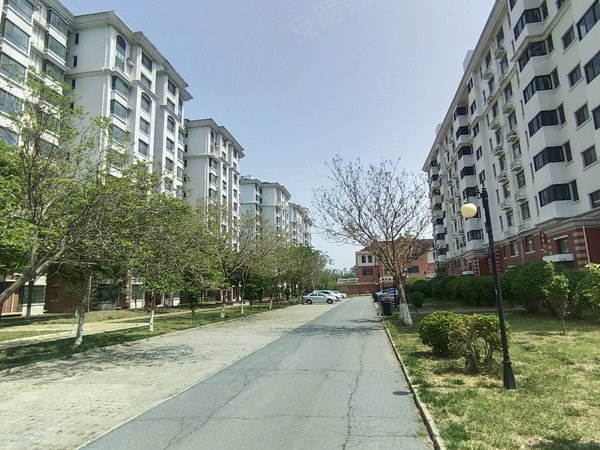 天津宝坻周良街泰富橄榄树离东门口近 俩居室 全自动洗衣机 空调冰箱