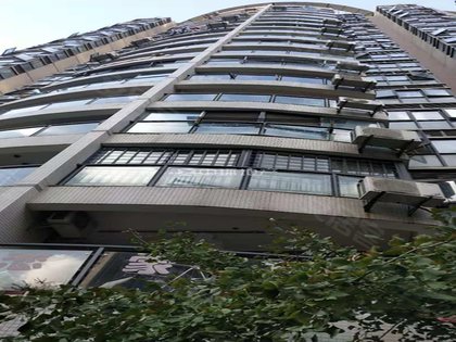 不足,保利华都怎么样,保利华都周边房产中介经纪人评价-武汉安居客