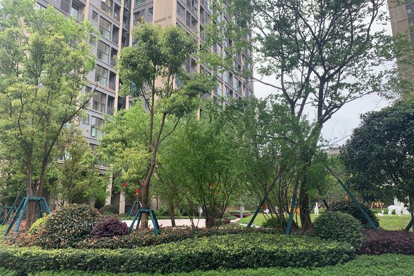 重庆小区 九龙坡小区 杨家坪小区 卓越中寰