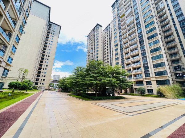 广州番禺大石碧桂园藏珑府豪装四房两卫 业主自住装修标准 碧桂园藏珑