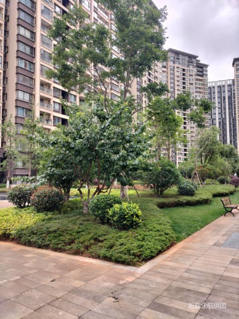 绿地滇池国际健康城长滩苑 小三居 商品住宅 电梯房 精装修