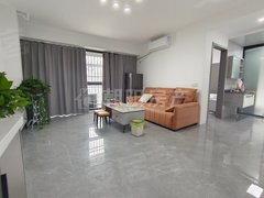 淮南田家庵中化国际城中环国际荣府 电梯精装修公寓 家具家电齐全 诚心出租看房方便出租房源真实图片