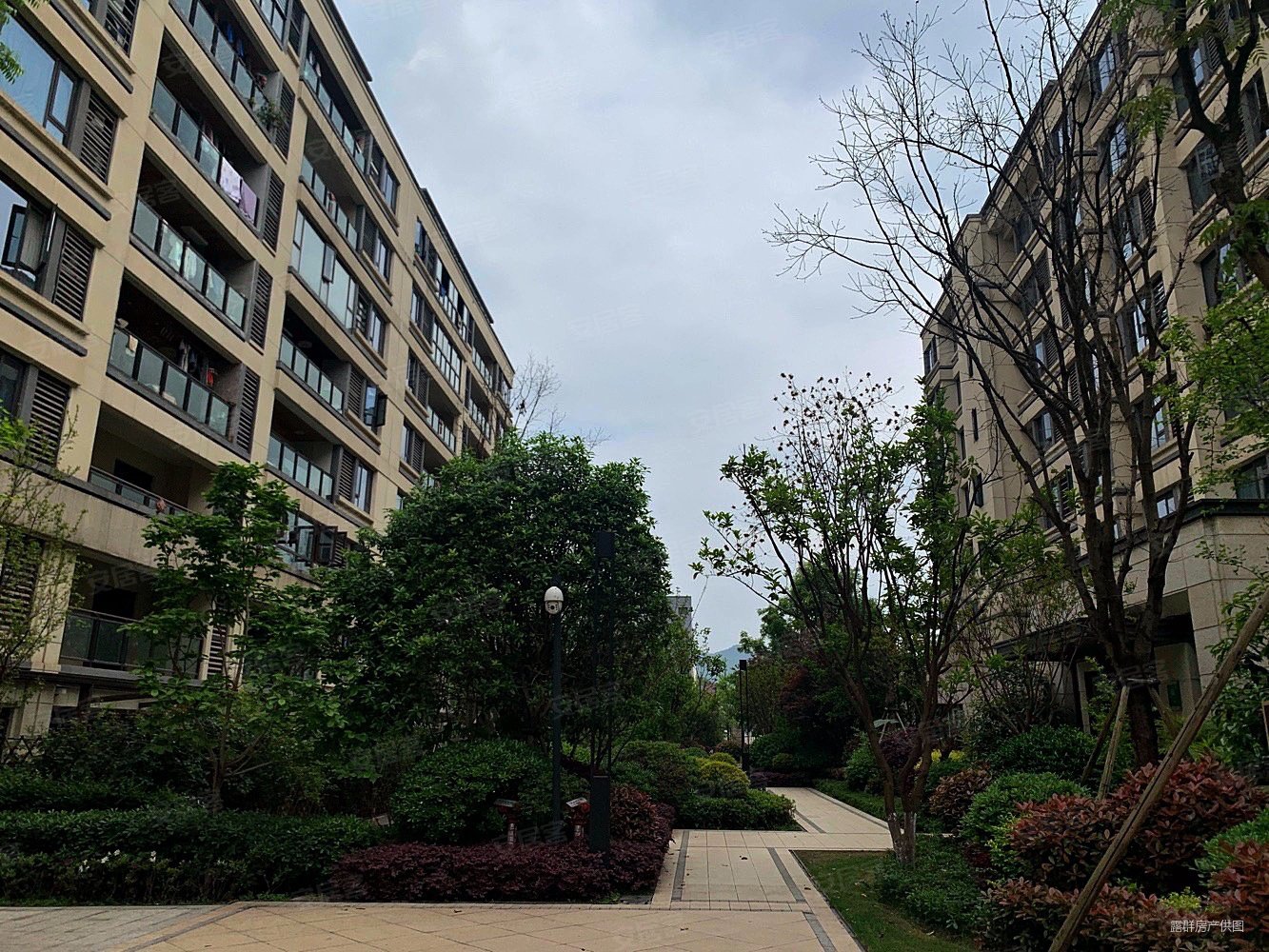 翡丽锦悦洋房小区精装三房双卫全新装修业主急售