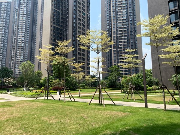 佛山南海金沙洲时代水岸二期时代水岸尚苑二期 精致装修 园区环境优美