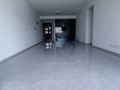 榆林榆阳沙河公园江山赋精装133平,开公司优先,带车位年租3.7万,看房方便出租房源真实图片
