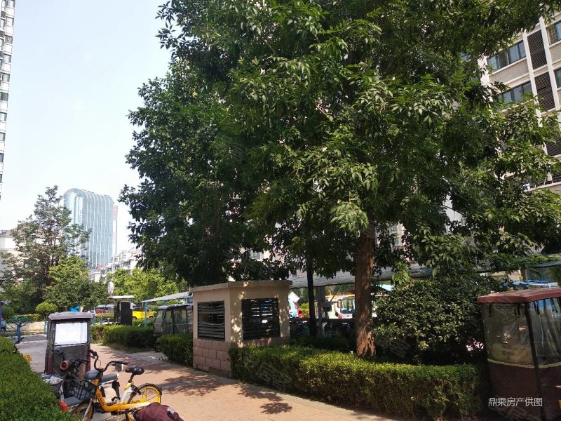 着急卖帝景苑精装三明厅北日向新华近虞河畔经典小错层