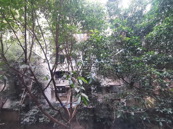 【多图】建行宿舍,涪陵高笋塘租房,建行宿舍 3室2厅1卫 南北通透 80平