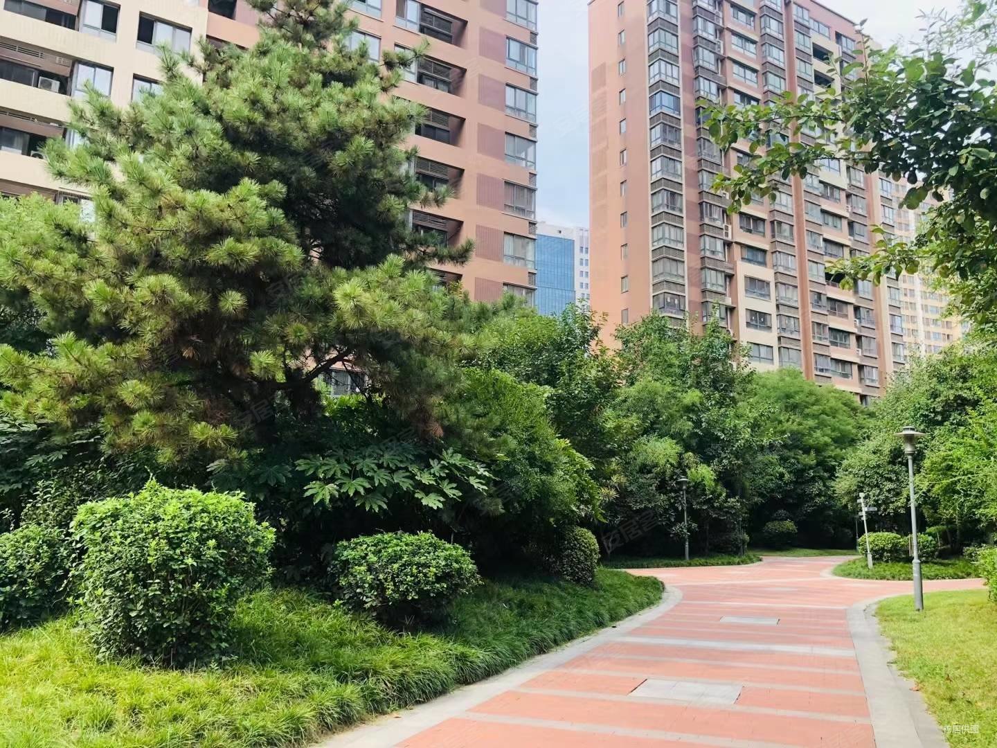 买房冲我来刘经理不会让您失望天地源枫林意树精装三居室