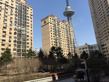 金桂园优点,不足,哈尔滨金桂园怎么样,金桂园周边房产中介经纪人评价