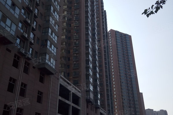 安诚御花苑董事长图片_安诚御花苑(2)