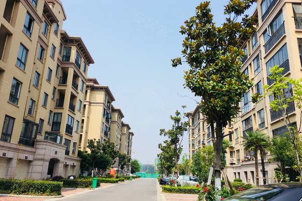 周口二手房 泰地现代城 > 李振兴解读泰地现代城生活配套