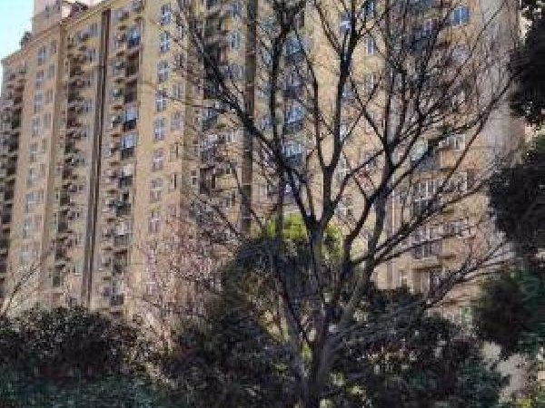 【多图】碧林湾摩登堂,七宝租房,七宝近文莱精装修大两房 小区方便