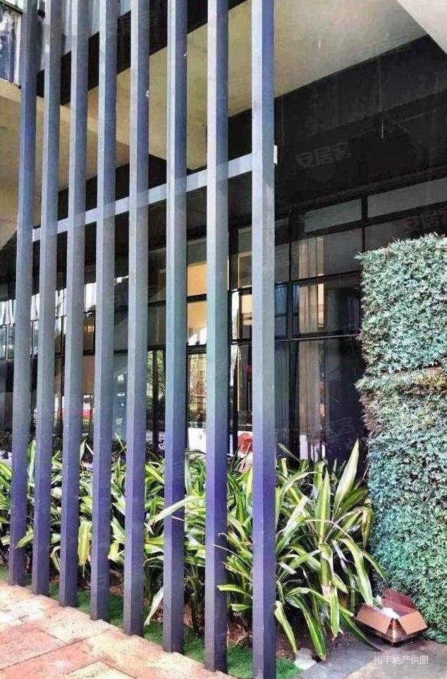 业主急出鹤山公园四房两厅两卫,还价即出,送物业管理费,绿地公园城