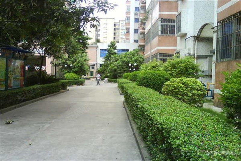 热门小区金丰花园 南向大三房 格局方正临近地铁 交通便利