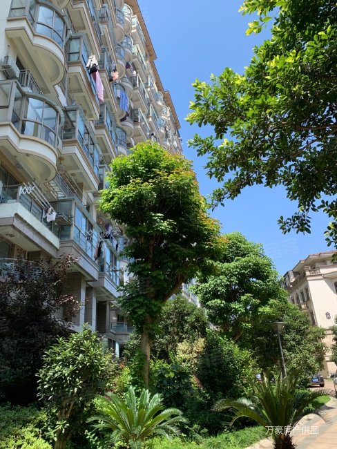 瑞景名苑简单装修好位置好楼层采光好包车位带储藏