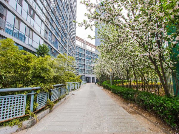 太阳宫 三元桥 正南2居室 uhn国际村 精装随时入住,朝阳租房-北京58