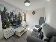 武汉江岸百步亭新荣 丹水池1号线 精装修一室一厅 家具家电齐全拎包入住出租房源真实图片