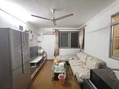 上海浦东川沙新上架 沙田公寓复式3三房 实地拍摄 图片价格真实出租房源真实图片