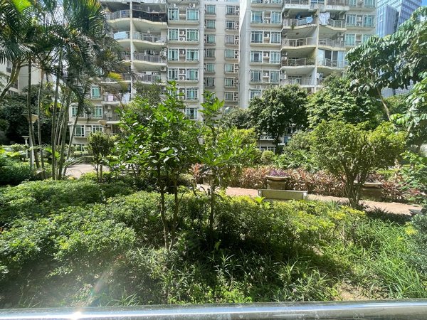 广州海珠工业大道北光大花园光大花园一楼精装两房 避风避雨无所不能