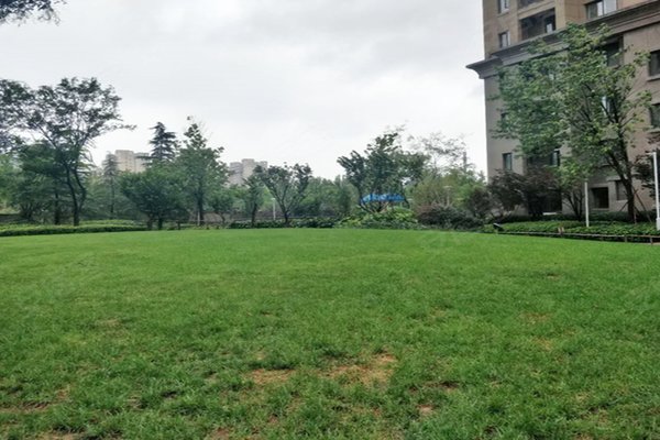 普罗旺世青年城