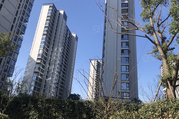 姚江湾优点,不足,姚江湾怎么样,姚江湾周边房产中介经纪人评价-宁波