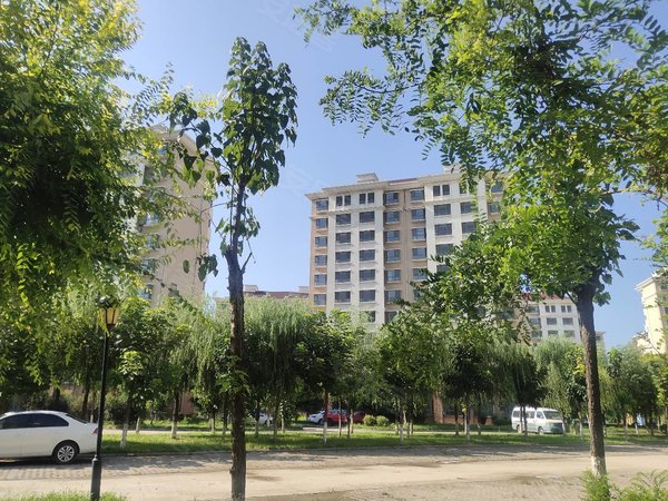 天津宝坻周良街泰富橄榄树橄榄树一居室,民水民电,拎包入住,紧邻大