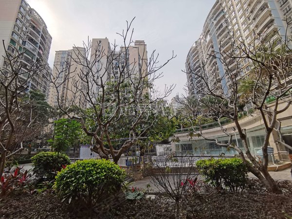 南宁青秀凤岭北保利凤翔花园航洋商圈 精美温馨电梯两房 居家配齐