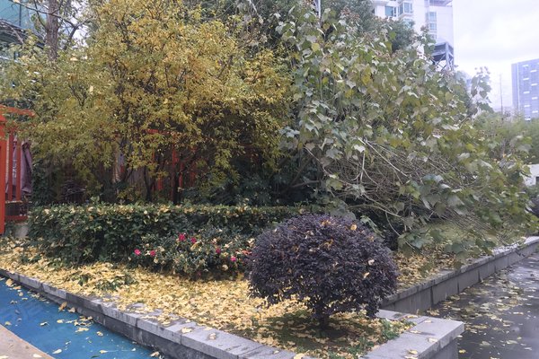 港汇花园优点,不足,上海港汇花园怎么样,港汇花园周边房产中介经纪人