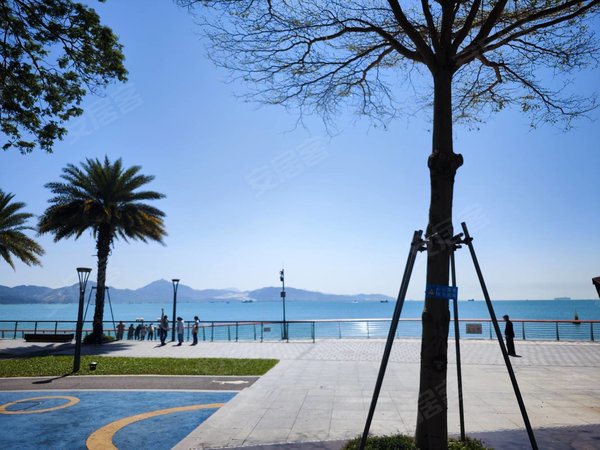 蛇口租房,半岛城邦四期 开发商精装2房3厅 一线海景 可以看房,南山