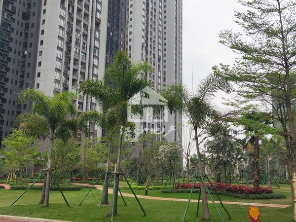 【多图】合景天汇广场,五象大道租房,合景天汇广场 3室2厅2卫 电梯房