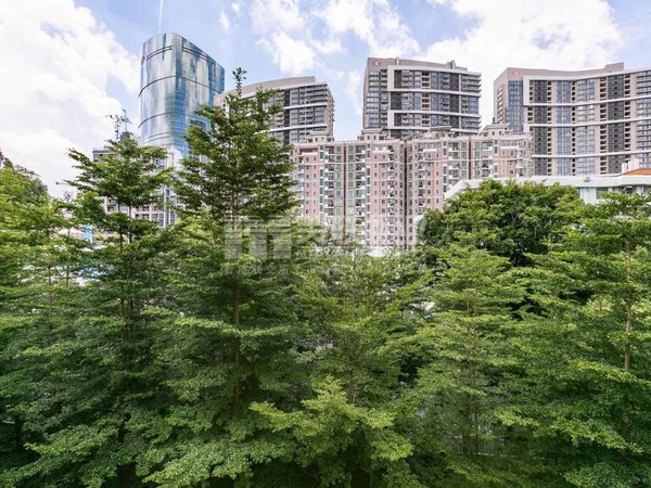 深圳罗湖水库东乐花园(罗湖)喜荟城商圈 东乐花园中层 南北通透 家私