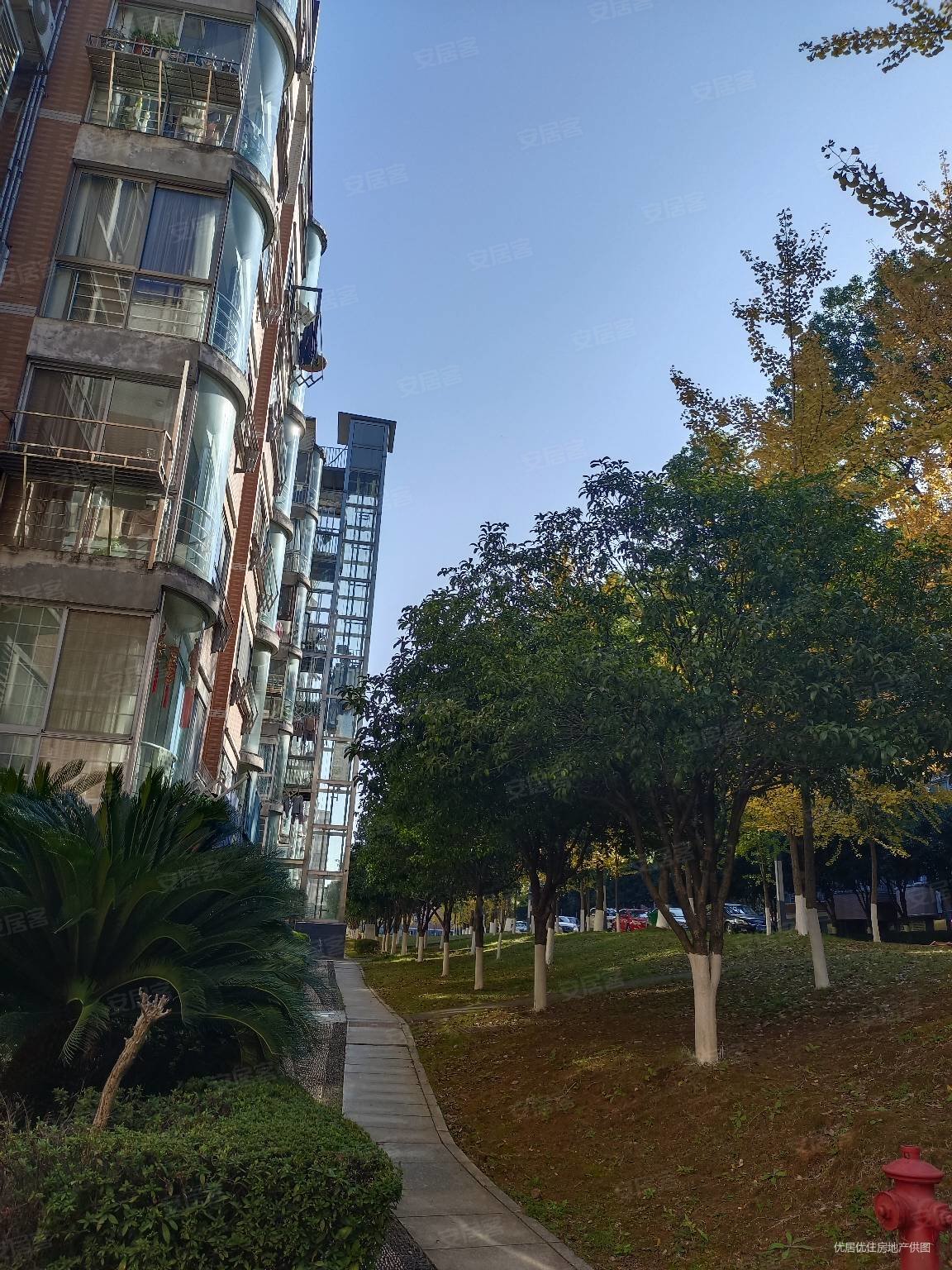 奥林匹克公园旁 紫 园 单位小区 精装四房 海棠丁香旁,紫金花园二手房