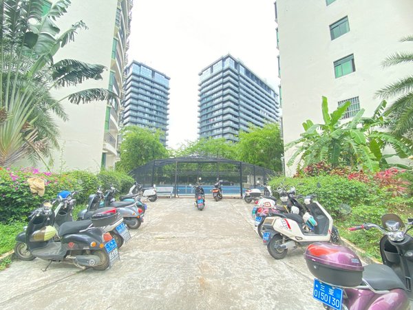 三亚市区(凯丰花园)两房出租!看房方便!,天涯租房-三亚58安居客