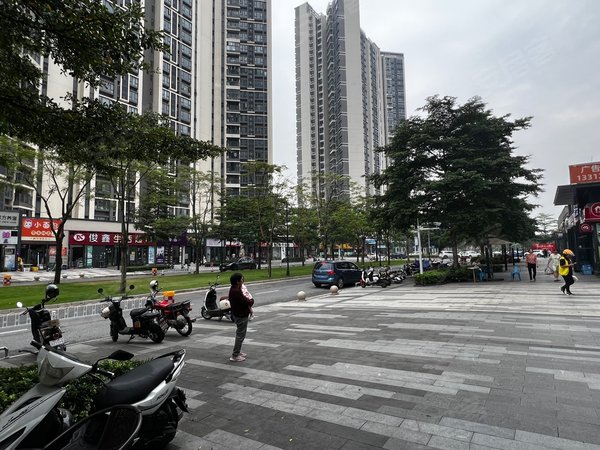广州南沙榄核保利星海小镇保利星海小镇三房出租 性价比高家私电器