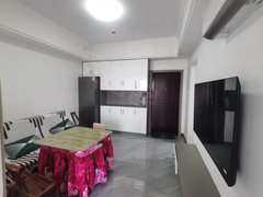 澧县财富广场市中心欢乐城新上精装两房业主接受半年付出租房源真实图片