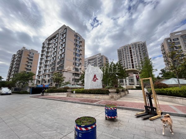 青岛莱西水集滨泰岭南峻景出门就是团岛路紧靠沙岭市场出行出行购物