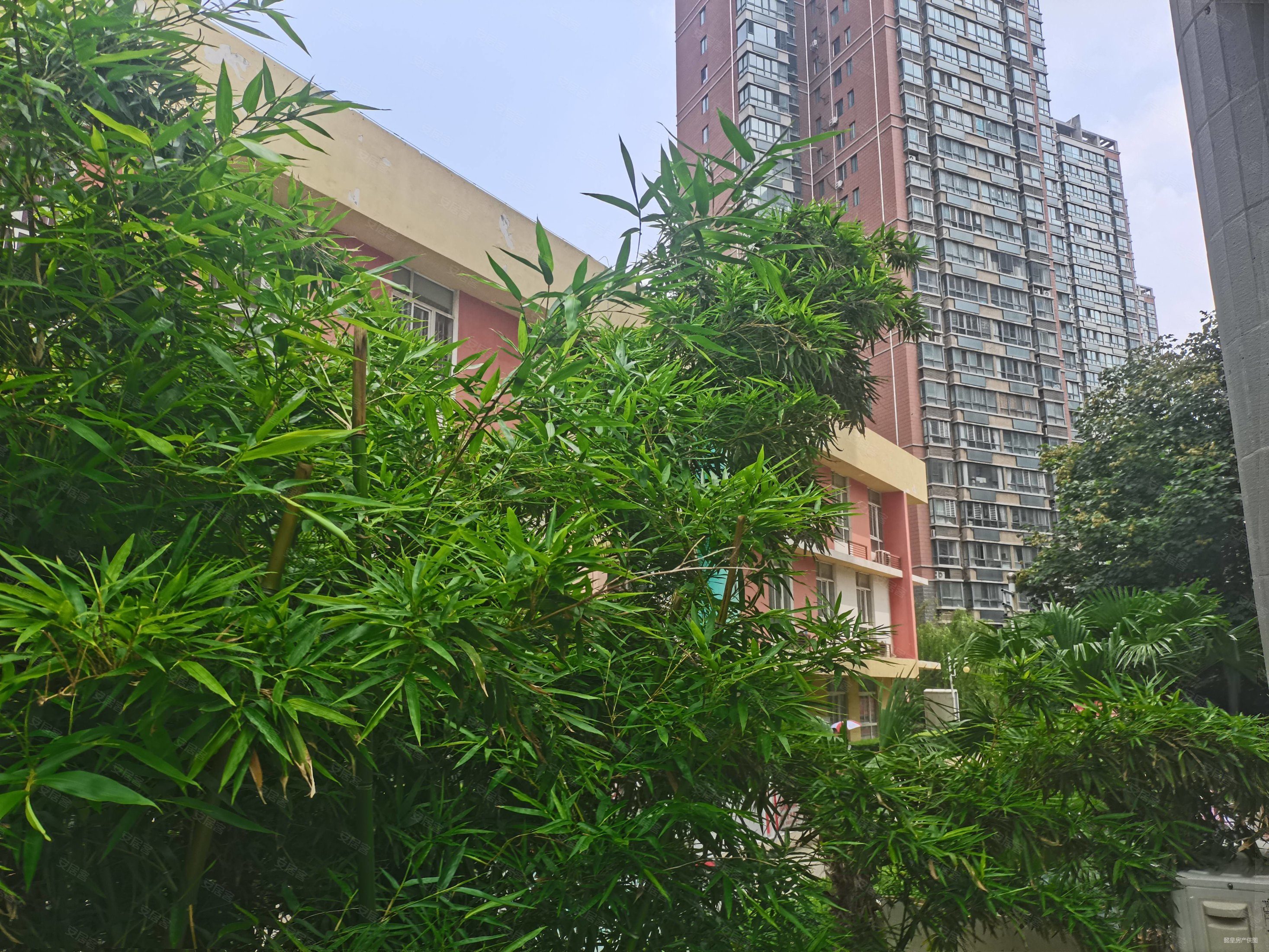 双气电梯房 满二 产权清晰 低容积 精装好房 近一周新上房源,书香苑