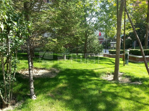 北京西城广安门外西堤红山1室1厅 西堤红山 企业力荐诚意出租随时看房