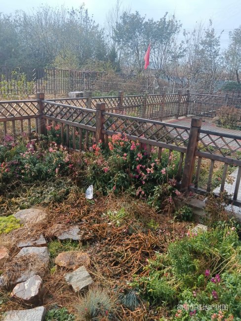 大學第六醫院
