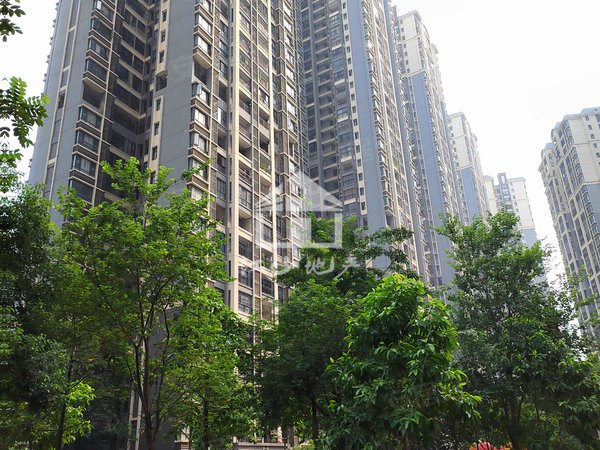 南宁良庆良庆镇天誉花园5区天誉花园5组团 4房2厅出租房源真实图片