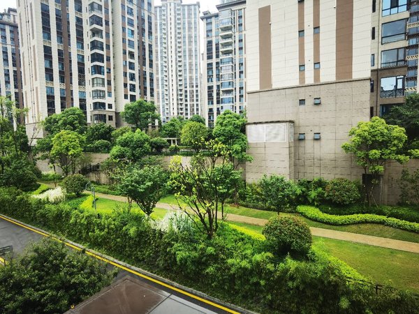 【多图】碧桂园印象花溪,花溪公园租房,出租,碧桂园印象的花溪大平层