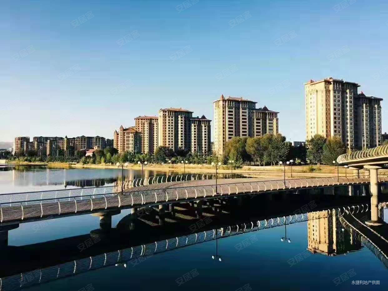 东岸国际一期河景房带车位和储藏间五年外房本随时能看房南北通透