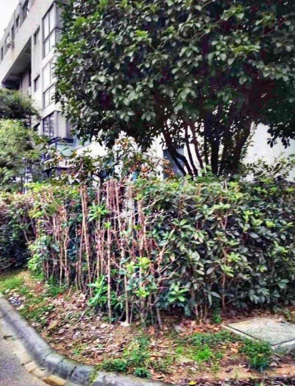 翠屏湾花园城 3跃4 精装修4房 急售 近地铁 南北通透