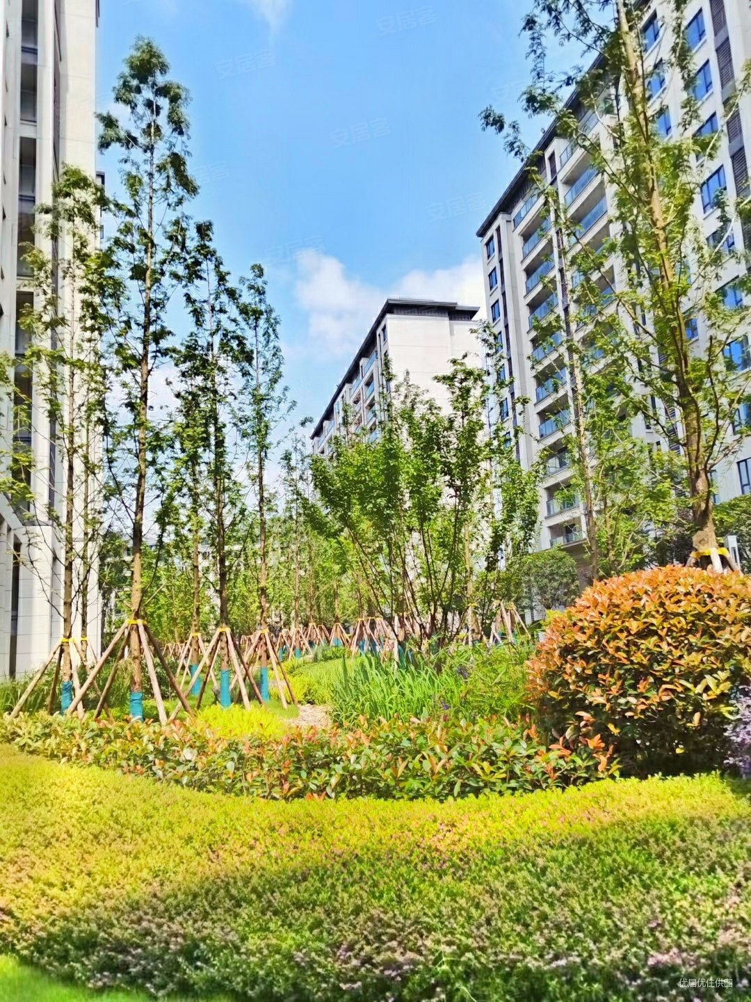 金科禹洲府天境